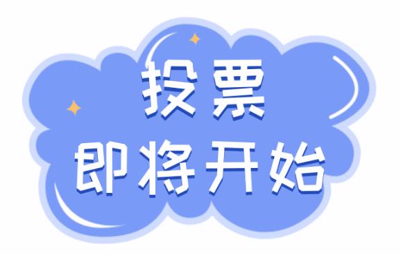 微信投票增票人工团队，网络投票人工推广团队怎么收费？