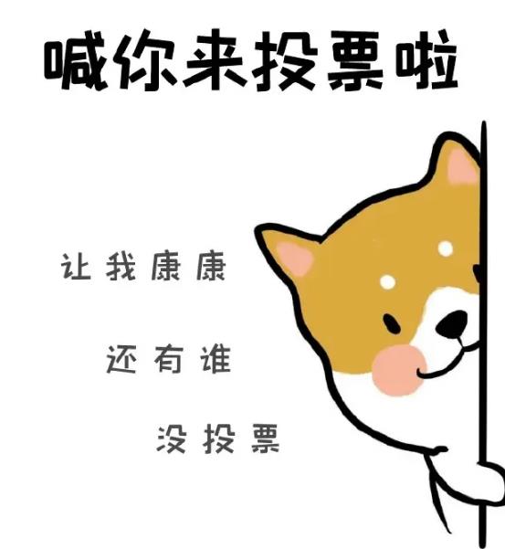 微信专业人工投票团队 人工刷票多少钱